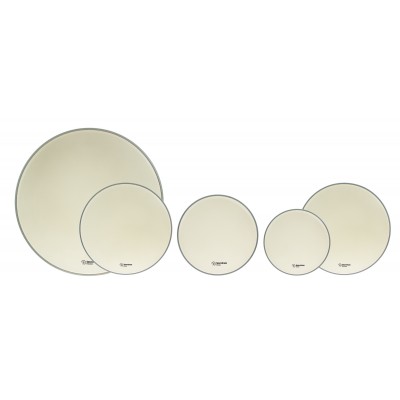 SPAREDRUM 10-12-14 + SD 14 + BD 22 EVEREST COATED FUSION SET