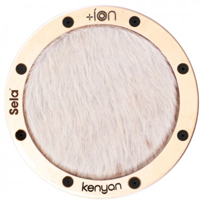 Ion for Iconic Cajon - Kenyan