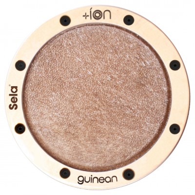 Ion for Iconic Cajon - Guinean
