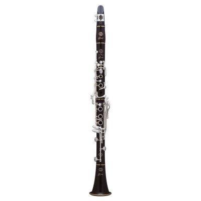 PRIVILEGE ÉVOLUTION SIB (18 CLÉS)