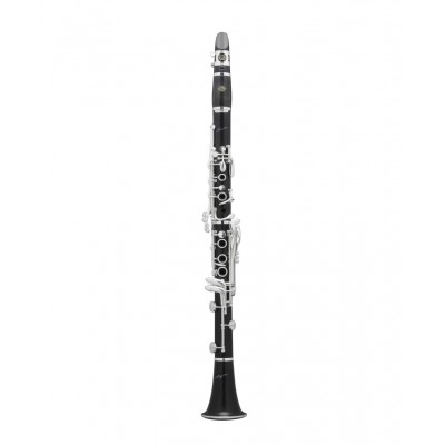 SIGNATURE Bb (442) EVOLUTION 