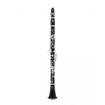 Présence Sib (18 Clés)