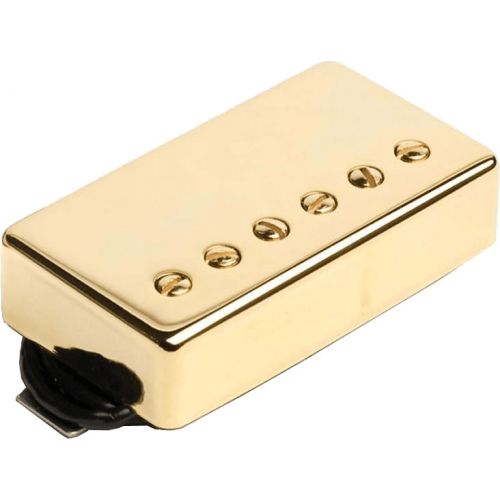 APH-1b-g - Alnico II Pro HB Chevalet Gold
