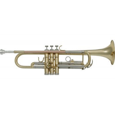 TP300 BB TRUMPET BRASS LACQUERED - ROSE BRASS LEADPIPE 
