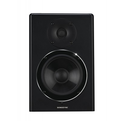 SONODYNE PM 100