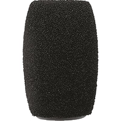 RK412WS