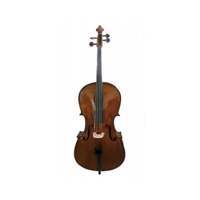 Violoncelos de 3/4