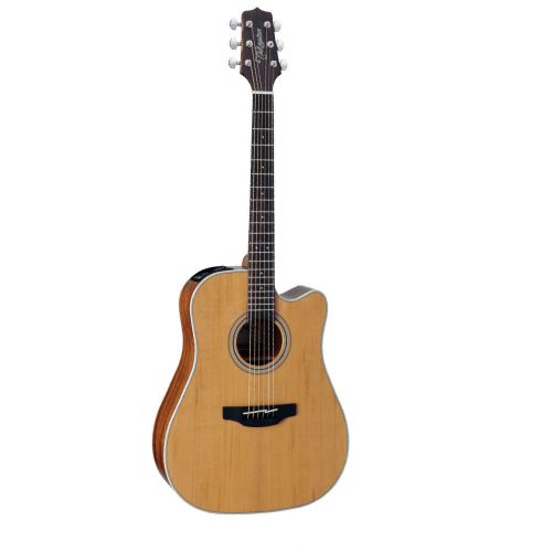 Takamine Gd20ce-ns Tp4-td