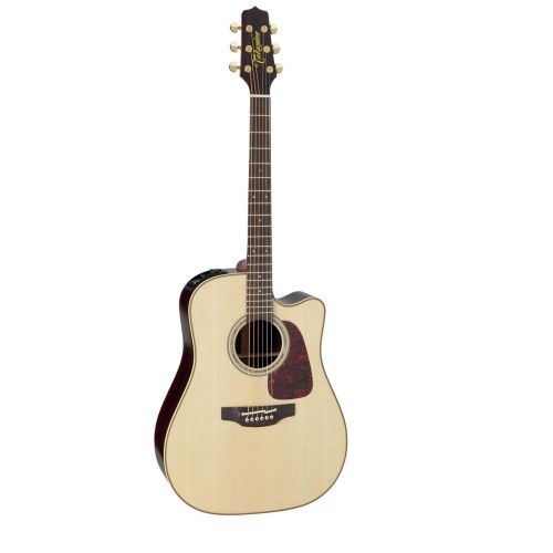 Takamine P5dc Dreadnought Cutaway