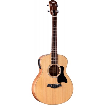 Gs Mini-E Bass 2024 - Recondicionados