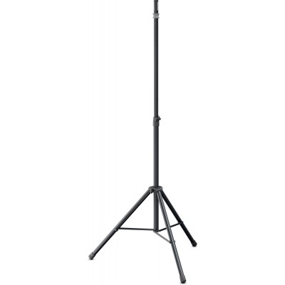 21439 Pied D'enceinte 