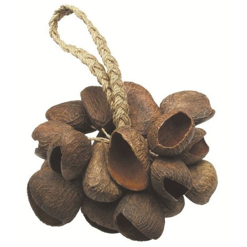 TOCA Shaker Seed Shell - T-SS