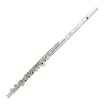 31CV-RX CANTABILE SILVER HEADJOINT 925 