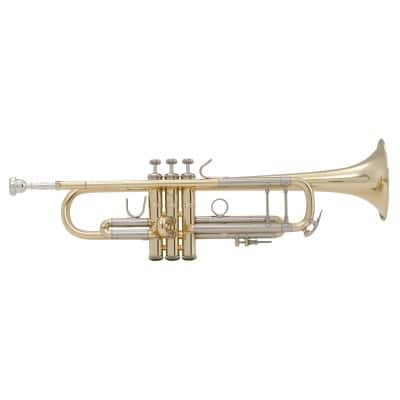 C180L 239/25C STRADIVARIUS CLEAR LACQUER