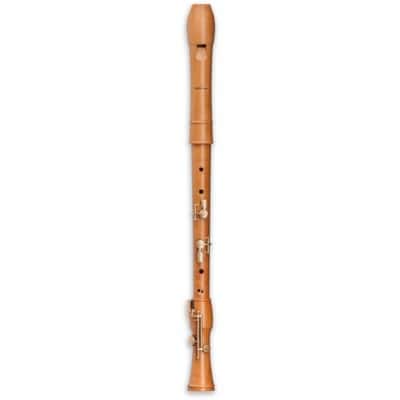 CANTA COMFORT TENOR 2446C