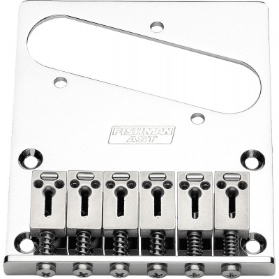 AMPLIFIED POWERBRIDGE AMPLIFIED HORSE POWERBRIDGE TYPE TELE AST-101