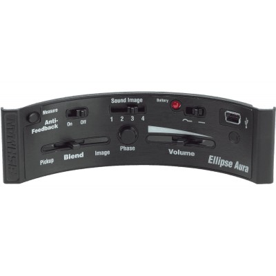 FISHMAN Micro Ellipse Aura Format Large