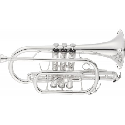 Cornets Sib