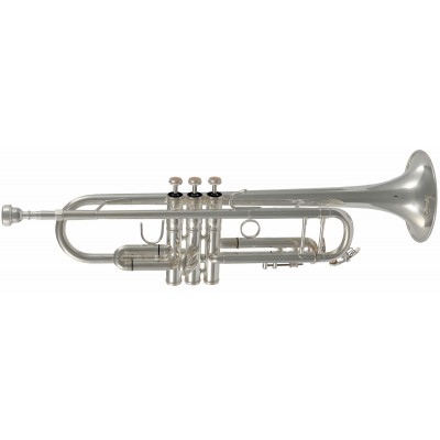 SML PARIS TP500S - BB SILVER
