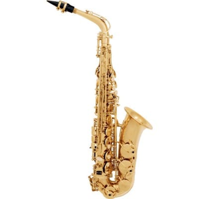 ALTO SAXOPHONE BEGINNER VARNISHED A300