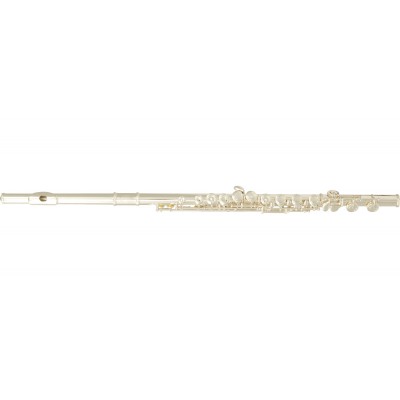 Flute Traversiere Debutant FL300E