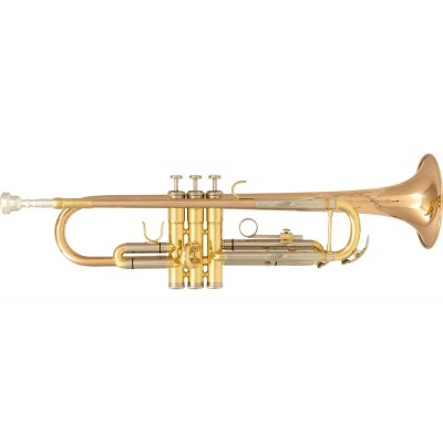 SML PARIS TP600 - BB LACKIERT