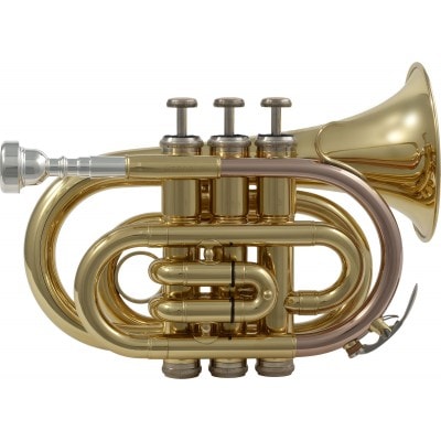 Pocket trumpets