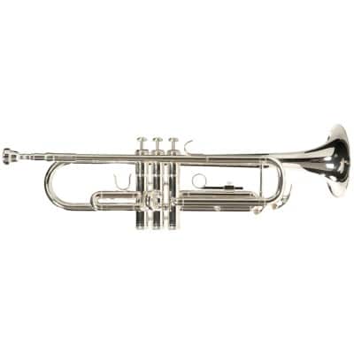 WOODBRASS WTP400S