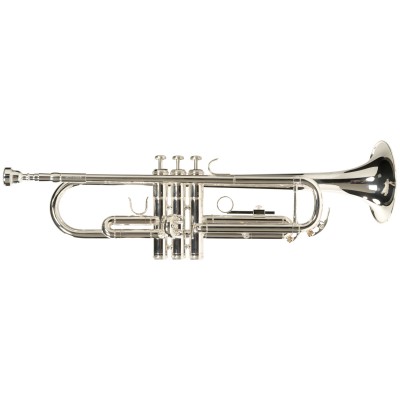 WTP400S - Si b Versilbert