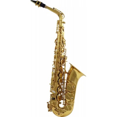 WOODBRASS WSA300 - ALTO MIB VERNI - STOCK B
