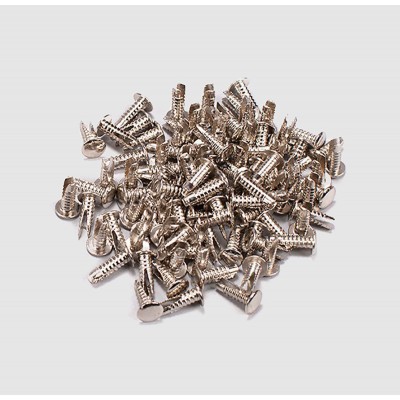 PACK 100 SILVER RIVETS