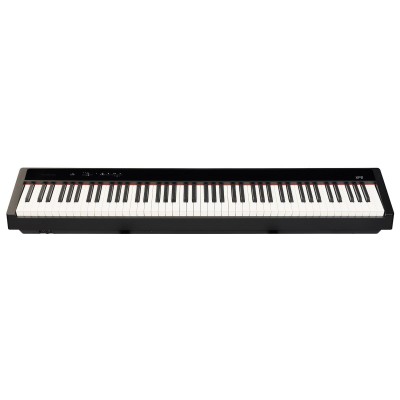 XP2 Negro