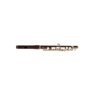 FLUTE PICCOLO – YPC-91 – PRO