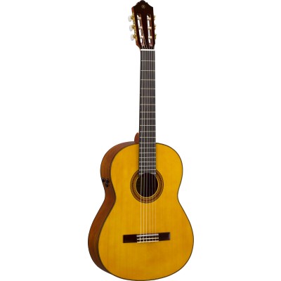 cg-ta transacoustic natural