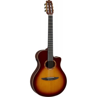 Ntx3 Brown Sunburst