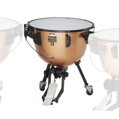 Timbales d