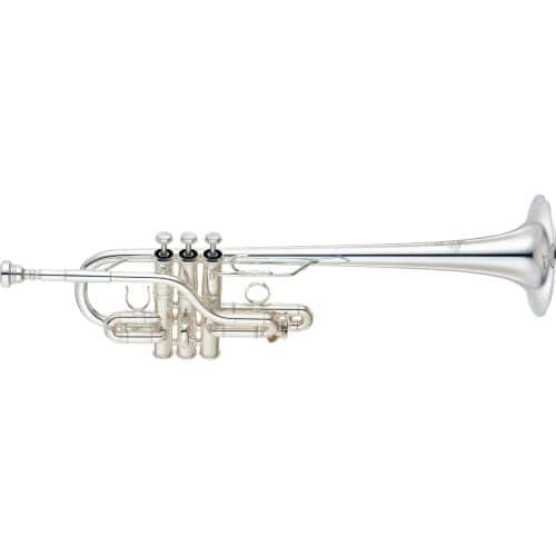 Autres trompettes professionnelles
