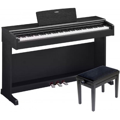 ARIUS YDP-145 Black and his bench
