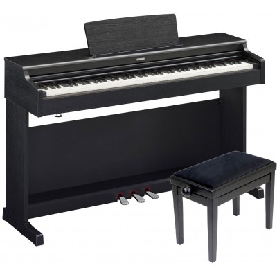 Arius YDP 165 black and his bench