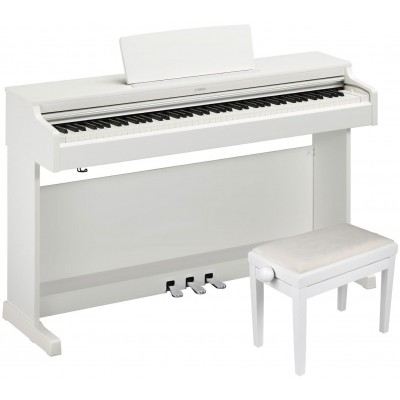 Arius YDP 165 white and his bench