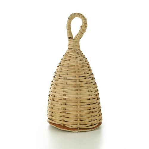 YOMAN MC003 - CAXIXI PALM SEEDS - LARGE