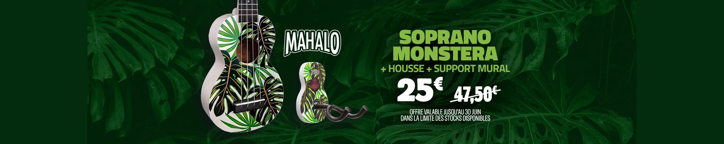promo_mahalo_monstera-1