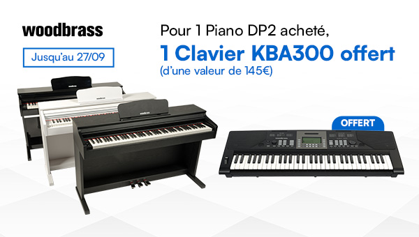 DP2-KBA300
