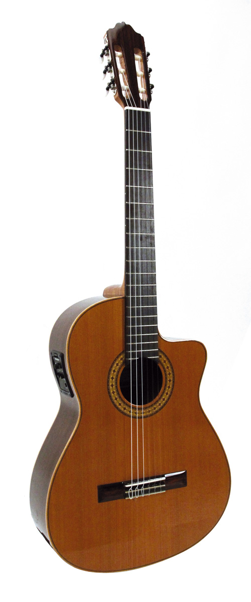 Esteve 1gr03, Pan Coupe