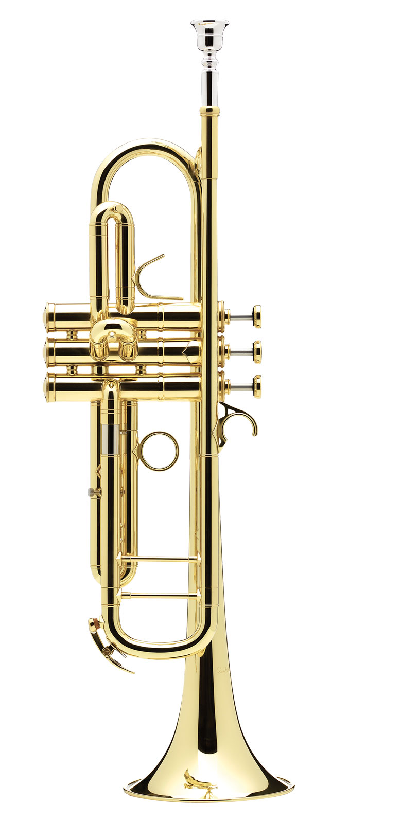 COURTOIS BB CONFLUENCE - LACQUER