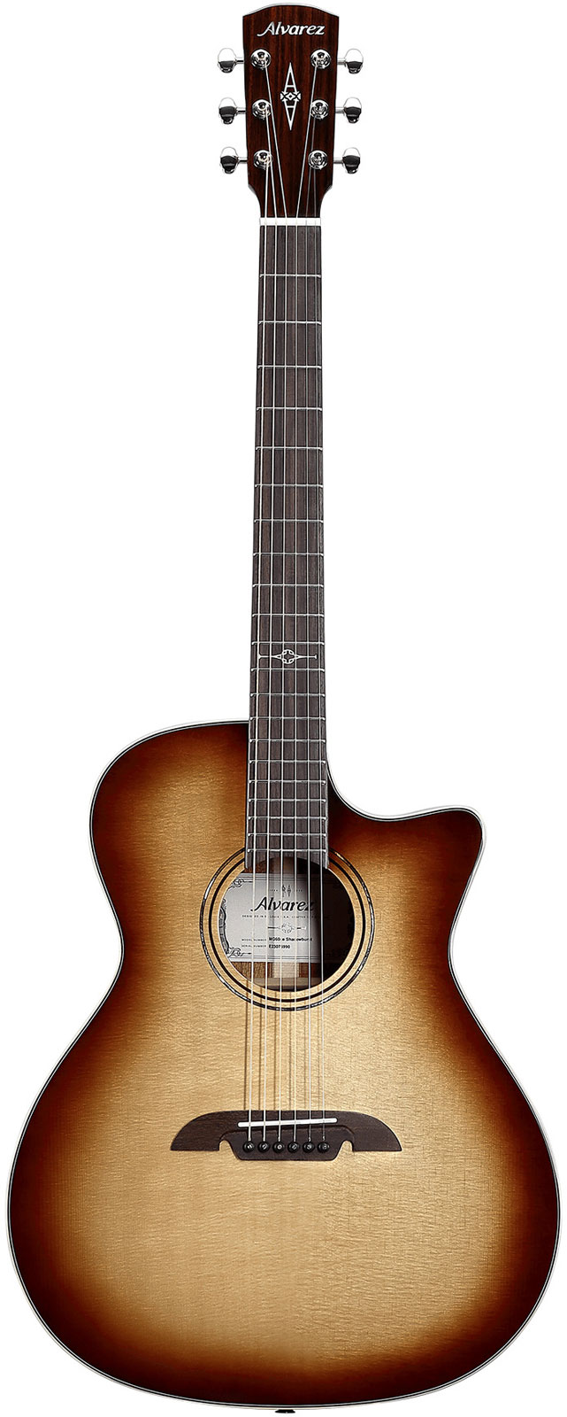 ALVAREZ Mg60Cehfshb