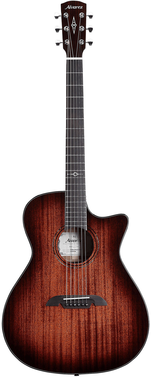 ALVAREZ Mg66Cehfshb