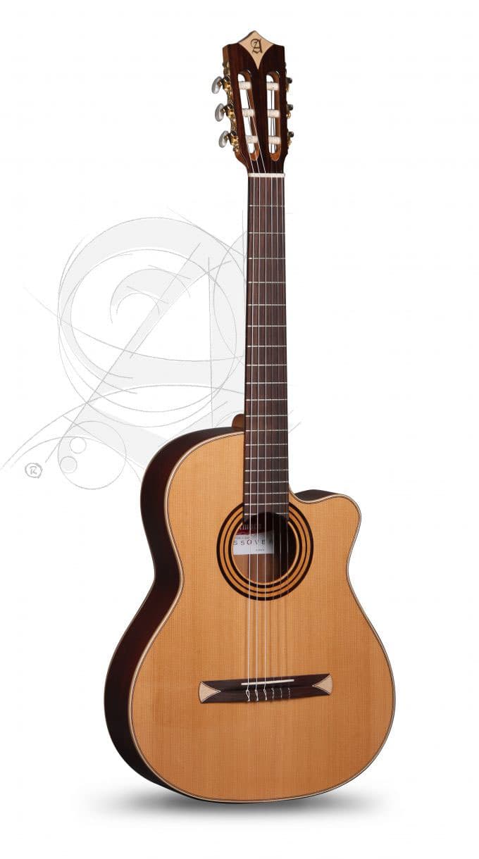 Alhambra 9730 para guitarra clásica, Gig bag