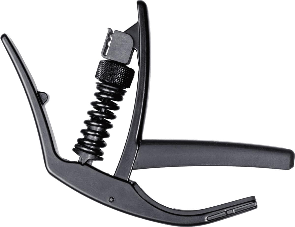 D'ADDARIO AND CO NS ARTIST CAPO