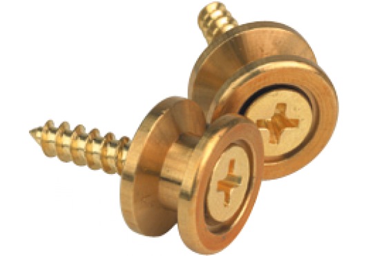 D'ADDARIO AND CO SOLID BRASS END PINS - BRASS (PAIR)